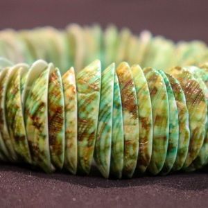 Seashell Expandable Bracelet